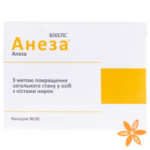 Анеза