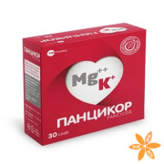 Панцикор