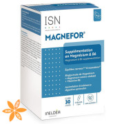 Ineldea магнефор