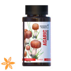 Гриб Агарик Mushroom Pharmacy Agaric