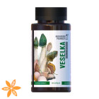 Гриб Радуга Mushroom Pharmacy Veselka