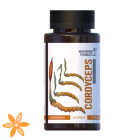 Гриб Кордицепс Mushroom Pharmacy Cordyceps