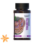 Гриб Трамета Mushroom Pharmacy Trameta
