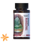 Гриб Трутовик Mushroom Pharmacy Trutovyk