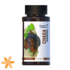 Гриб Чага Mushroom Pharmacy Chaga