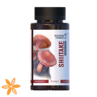 Гриб Шиитаке